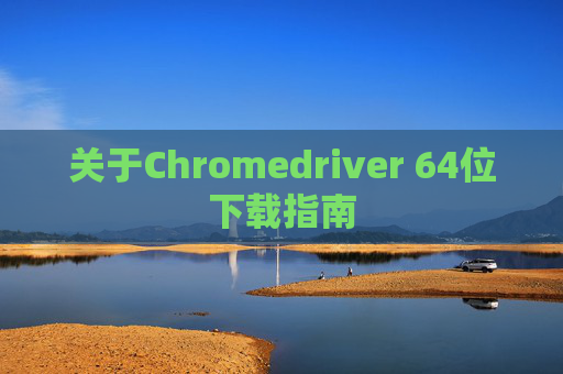 关于Chromedriver 64位下载指南